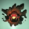 Erie's profile picture