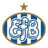Esbjerg fB 的头像