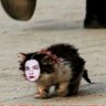ЧИСТЫЙ ГУМАНОИДНЫЙ ЗВУК's profile picture