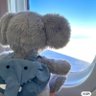 candy's profile picture