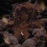 Healer🧜‍♀️ profil fotoğrafı