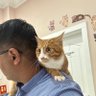 batkhuu_fat profil fotoğrafı