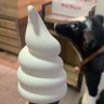 あいす's profile picture