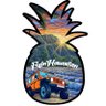 Фото профиля FlyinHawaiian