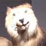 Ofer127's profile picture