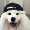 Profilbild von Hepii