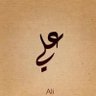 Profilbild von Ali Othman