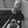Profilbild von Mostly Mister Ed