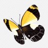 Profilbild von الفزي الجهني