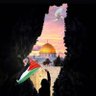 AbaSibtain (اباسبطين) 🇵🇸 profil fotoğrafı