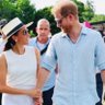 SussexFreedom's profile picture