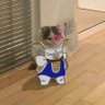 meow's profile picture