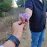 kuzey yıldızı's profile picture