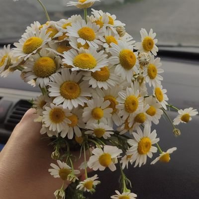 Fizikcianne's profile picture