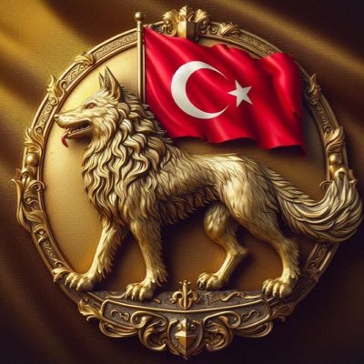 mkurt24's profile picture