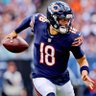 Alex 🐻⬇️ 5-12 profil fotoğrafı