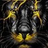 aslan pençesi's profile picture