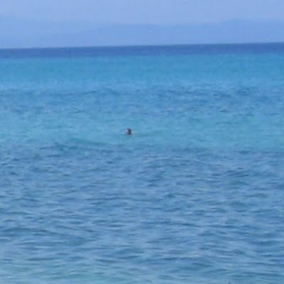 Doca_da_lekic's profile picture