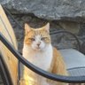 Profilbild von Moe57