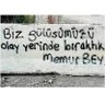 asım mavzer profil fotoğrafı