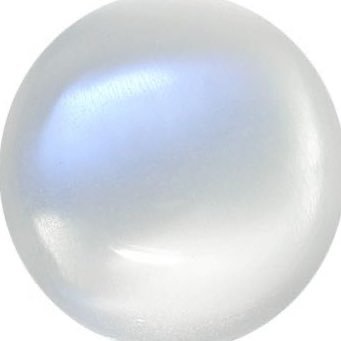 mewmew528's profile picture