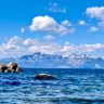 Tahoe Flyer profil fotoğrafı