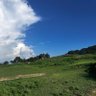 Nature is great 的头像