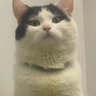 Axaar's profile picture