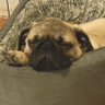 Reys's profile picture