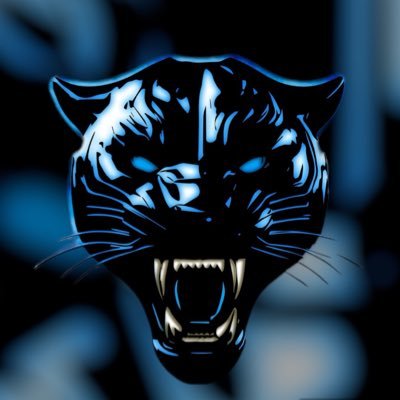 𓃮 𝘾𝙖𝙧𝙤𝙡𝙞𝙣𝙖 𝙋𝙖𝙣𝙩𝙝𝙚𝙧 𝙋𝙧𝙞𝙙𝙚 𓃮's profile picture