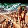 عمر المضايفي profil fotoğrafı