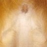 IsaacJacobSquires's profile picture