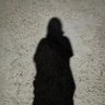 晚锦 profil fotoğrafı