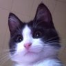 Lola Meráz profil fotoğrafı