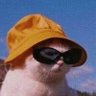 hiçdurmayaniçsesim's profile picture
