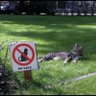 Crabedeterre33's profile picture