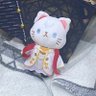 Profilbild von 金華猫 十束
