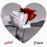 Фото профиля احمدعامر