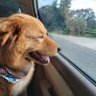 TheGoodLife's profile picture