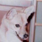 556tan's profile picture