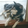 まこと39's profile picture