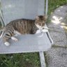 cinni's profile picture