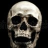 Amador profil fotoğrafı
