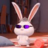 Profilbild von Rose