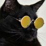DudeMcCool's profile picture