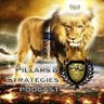 Pillars & Strategies 的头像