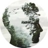 Matrix Forest 的头像