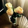 Minfang li's profile picture