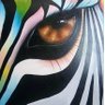 Zebra profil fotoğrafı