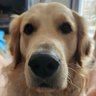 Marley's profile picture